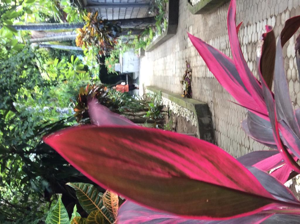 Bali Guest Villas เลอกีอัน ภายนอก รูปภาพ